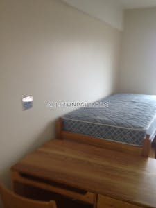 Allston Apartment for rent Studio 1 Bath Boston - $2,100 No Fee
