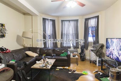 Brookline Apartment for rent 2 Bedrooms 2 Baths  Boston University - $3,500 No Fee