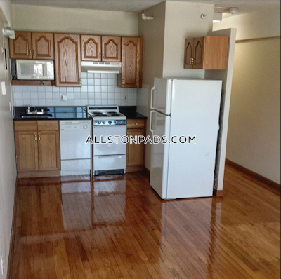 Allston Apartment for rent Studio 1 Bath Boston - $2,200 No Fee