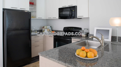 Cambridge Apartment for rent Studio 1 Bath  Kendall Square - $2,961 No Fee