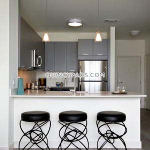 Quincy Apartment for rent 1 Bedroom 1 Bath  Quincy Center - $2,400 No Fee
